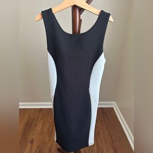 XS Fitted Mini Dress